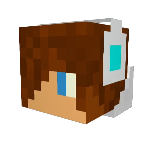 HockeyHead02 Minecraft avatar head, 3D render