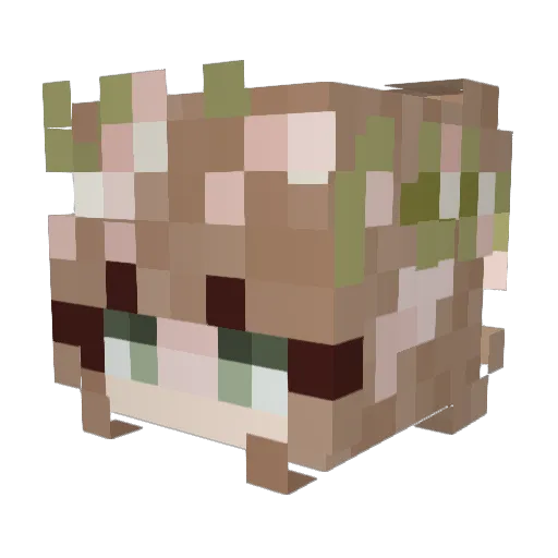 HockeyHero05 Minecraft avatar head, 3D render