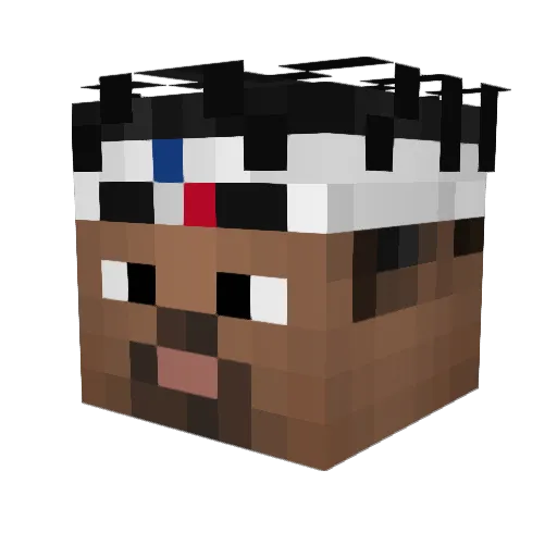 HockeyStar128 Minecraft avatar head, 3D render