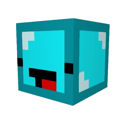 Hockeyplayer202 Minecraft avatar head, 3D render