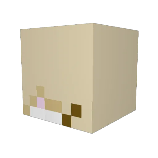 Hocus__Focus Minecraft avatar head, 3D render