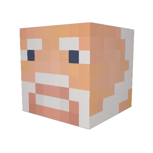 Hodge__ Minecraft avatar head, 3D render