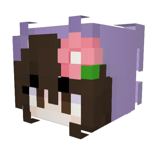 Hodgeblossom Minecraft avatar head, 3D render