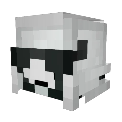 Hodger11 Minecraft avatar head, 3D render