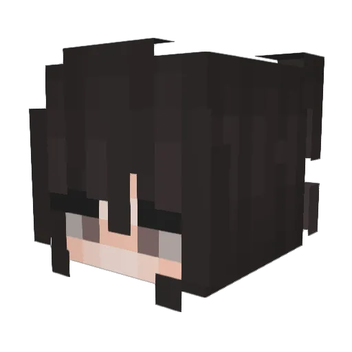 Hodu08 Minecraft avatar head, 3D render