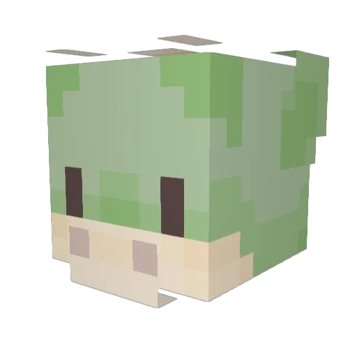 HoeMaster64 Minecraft avatar head, 3D render