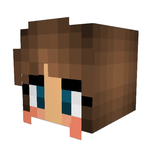 HoePatrol1 Minecraft avatar head, 3D render