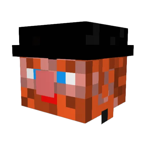 HoegCraft Minecraft avatar head, 3D render