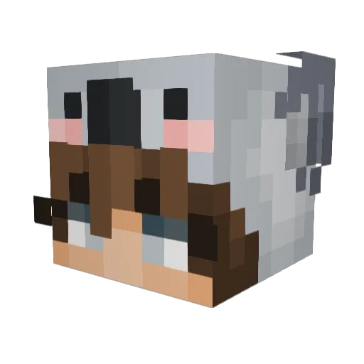 Hoema99 Minecraft avatar head, 3D render