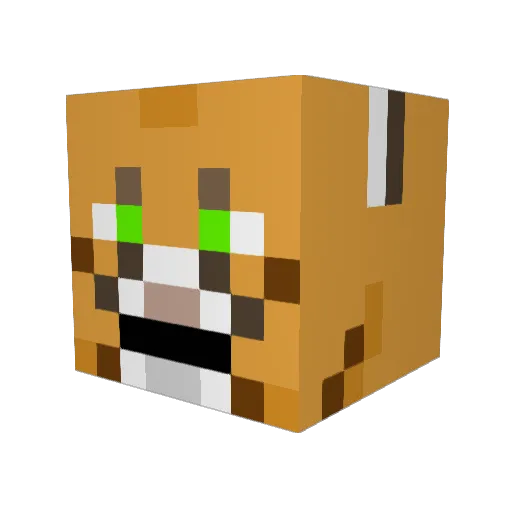 Hoerly Minecraft avatar head, 3D render