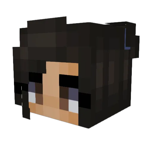 Hofer54321 Minecraft avatar head, 3D render
