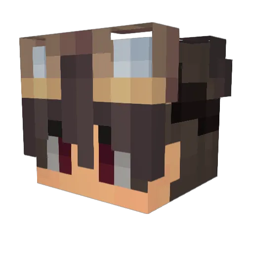 Hofi0 Minecraft avatar head, 3D render