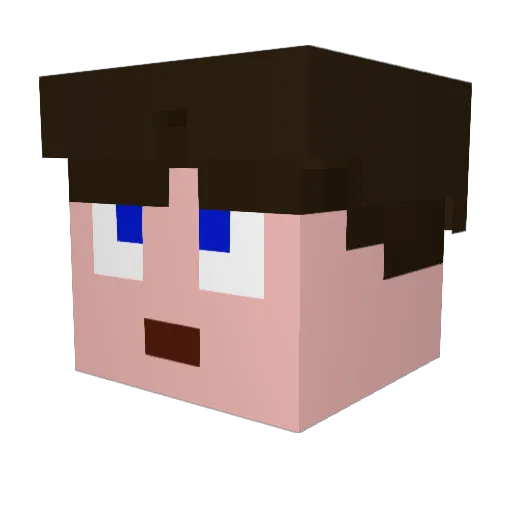Hofstra Minecraft avatar head, 3D render
