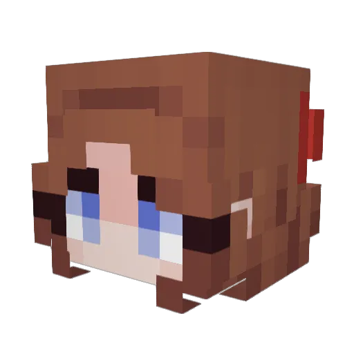 HogRiderJutsu Minecraft avatar head, 3D render
