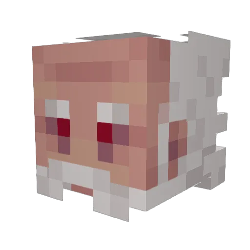 Hogchops Minecraft avatar head, 3D render