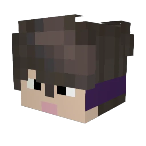 HoggyWarty20 Minecraft avatar head, 3D render