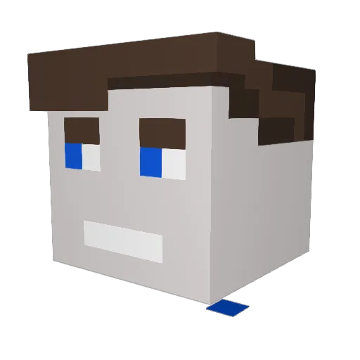 Hoghi Minecraft avatar head, 3D render