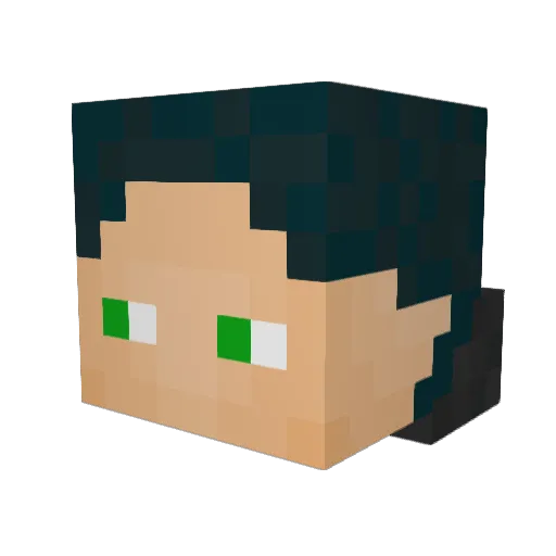 HogoshaHaynes Minecraft avatar head, 3D render