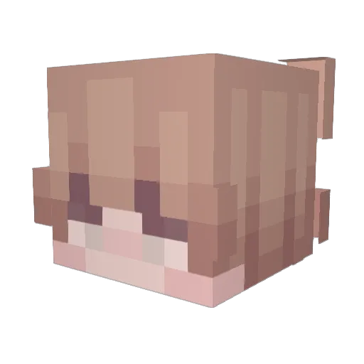 Hogu_9999 Minecraft avatar head, 3D render