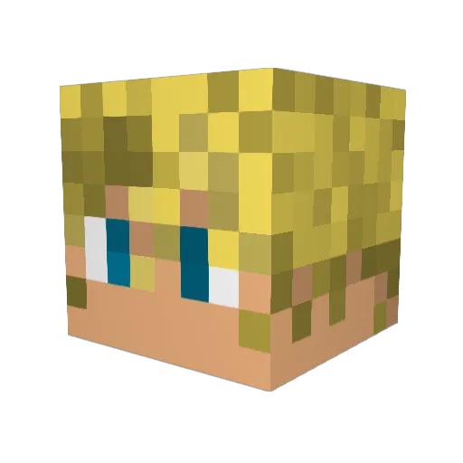 HogunSmit Minecraft avatar head, 3D render