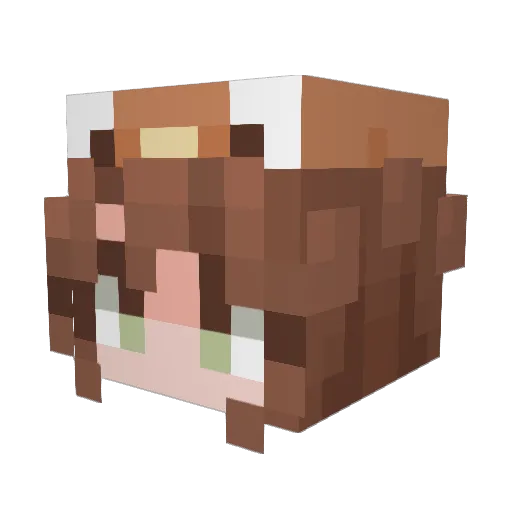 Hogwarts0055 Minecraft avatar head, 3D render