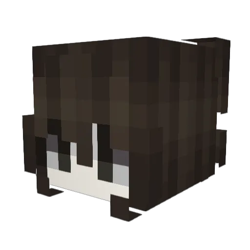 Hogzzy Minecraft avatar head, 3D render