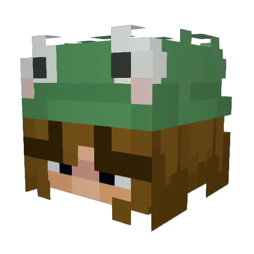 Hoihoi071 Minecraft avatar head, 3D render