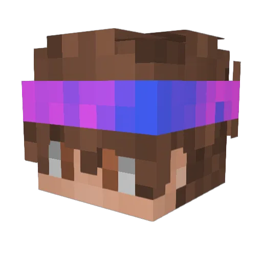 Hoim8 Minecraft avatar head, 3D render