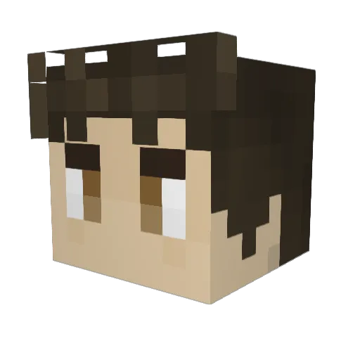 Hoisome Minecraft avatar head, 3D render