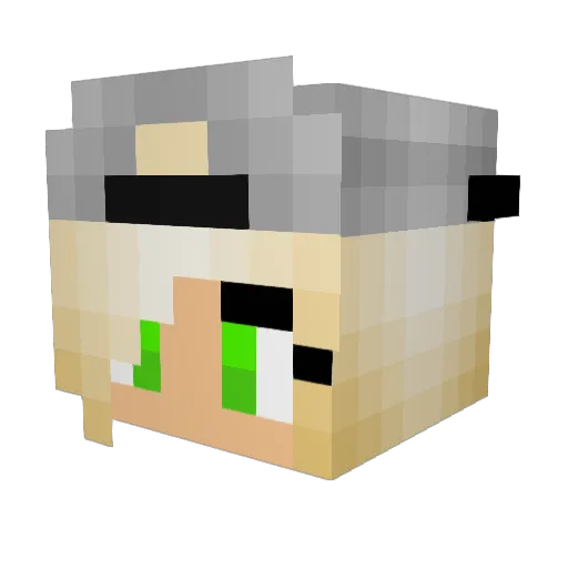 Hojanne Minecraft avatar head, 3D render