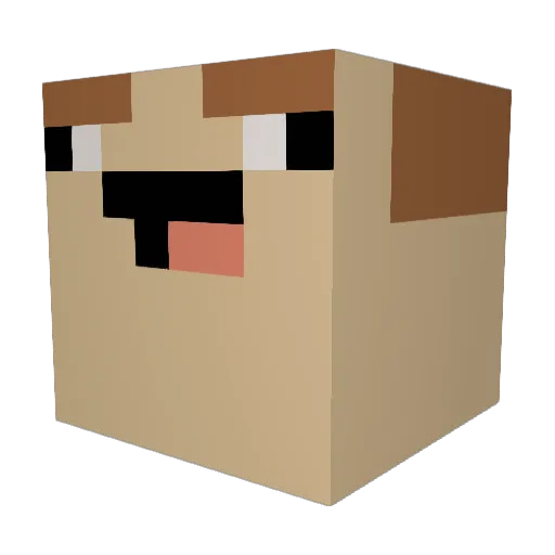 Hojer_ Minecraft avatar head, 3D render