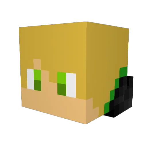 Hojoe42 Minecraft avatar head, 3D render