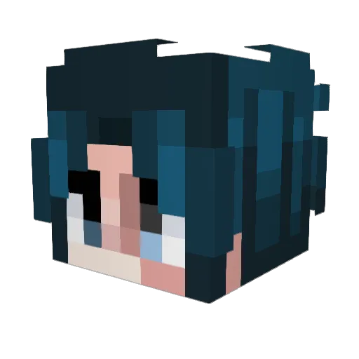 Hokexy Minecraft avatar head, 3D render