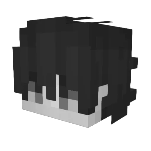 Hokizfcp Minecraft avatar head, 3D render