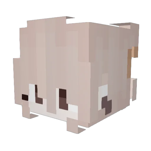 Hokuimo Minecraft avatar head, 3D render