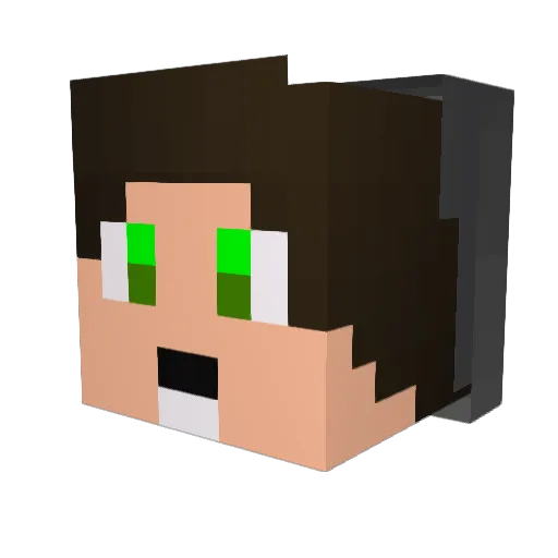 Hokus__Pokus Minecraft avatar head, 3D render