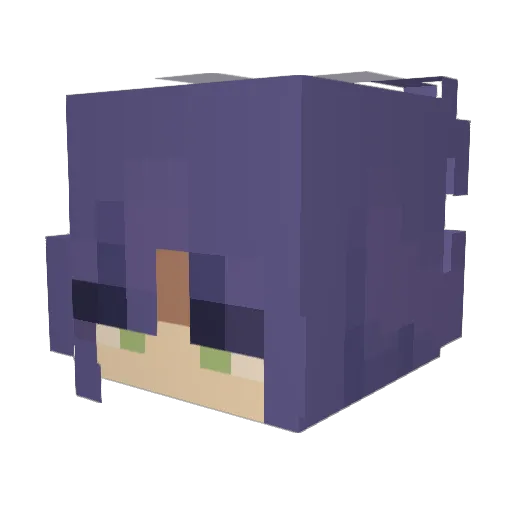 HolDaBus Minecraft avatar head, 3D render