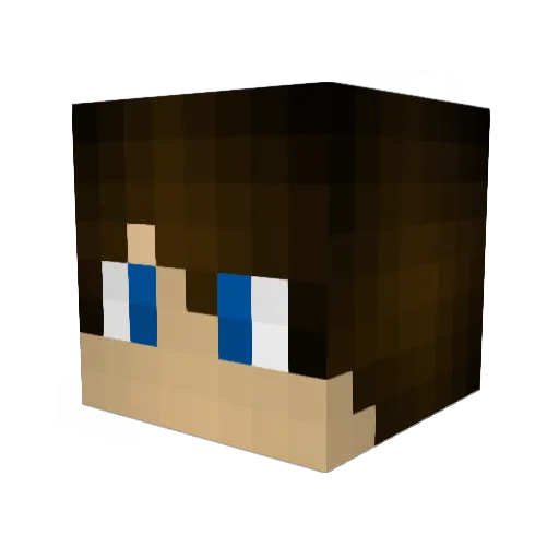HolaMrRicko Minecraft avatar head, 3D render