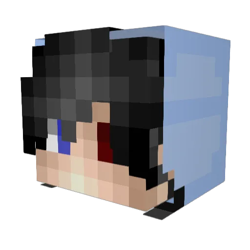 HoldMyBeers_ Minecraft avatar head, 3D render