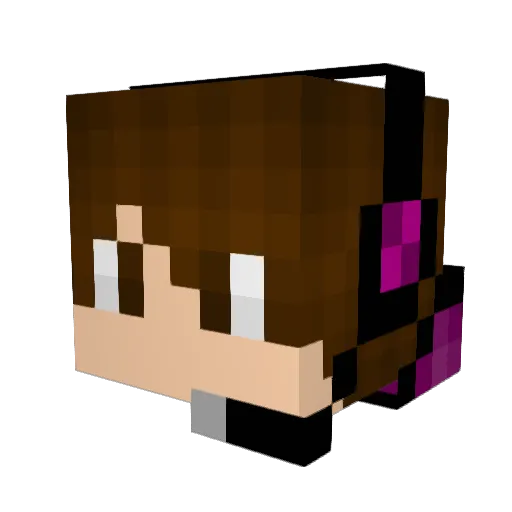 HoldMyTinnie Minecraft avatar head, 3D render