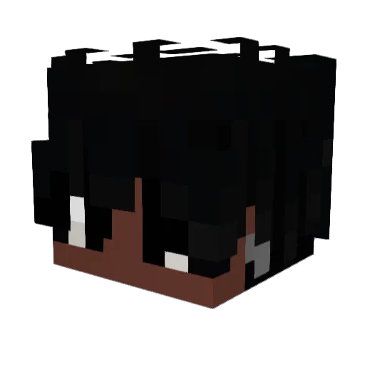 HoldaFablet Minecraft avatar head, 3D render