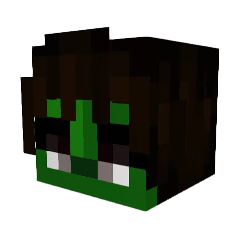 Holden412 Minecraft avatar head, 3D render