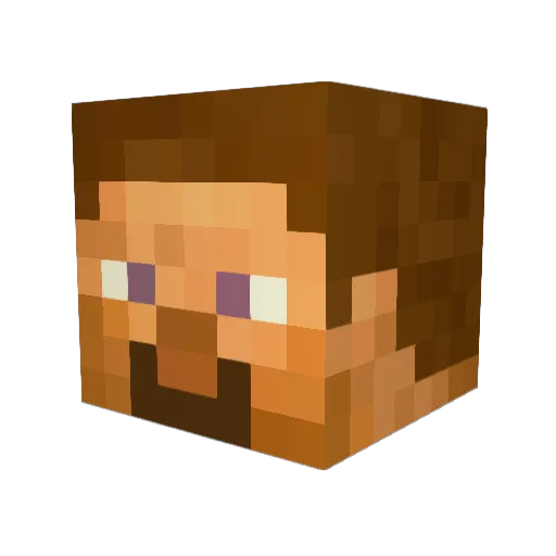 HoldenIt2gether Minecraft avatar head, 3D render