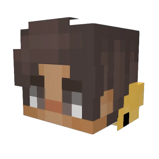 Holey_JESUS Minecraft avatar head, 3D render