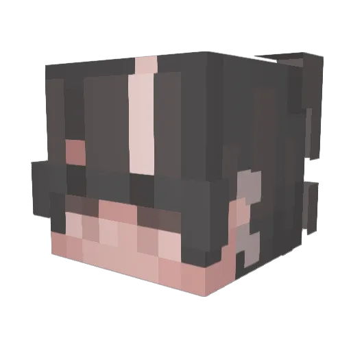 Holgerstampe Minecraft avatar head, 3D render