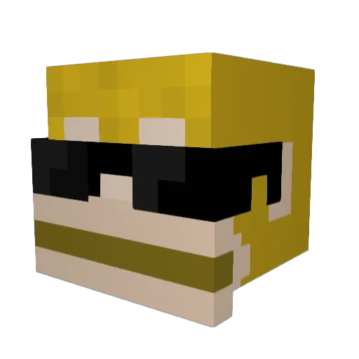 HoliTz_ Minecraft avatar head, 3D render