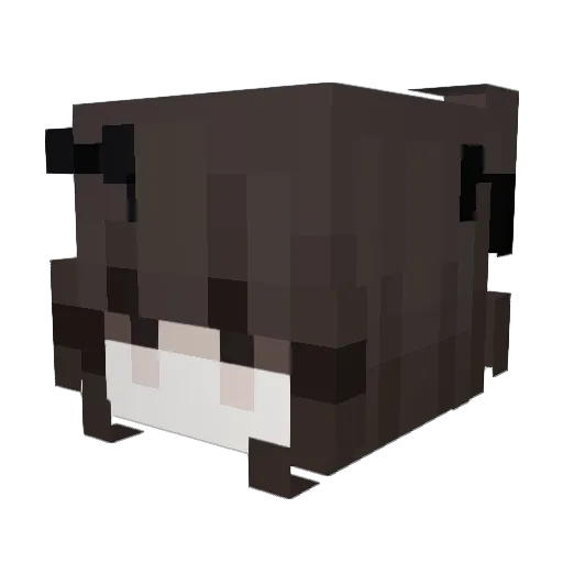 Holibelle Minecraft avatar head, 3D render