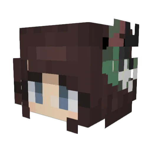 HolidayDrinker Minecraft avatar head, 3D render
