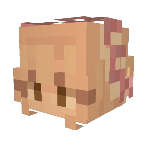 HolidayHope2020 Minecraft avatar head, 3D render