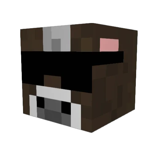 Holio9 Minecraft avatar head, 3D render